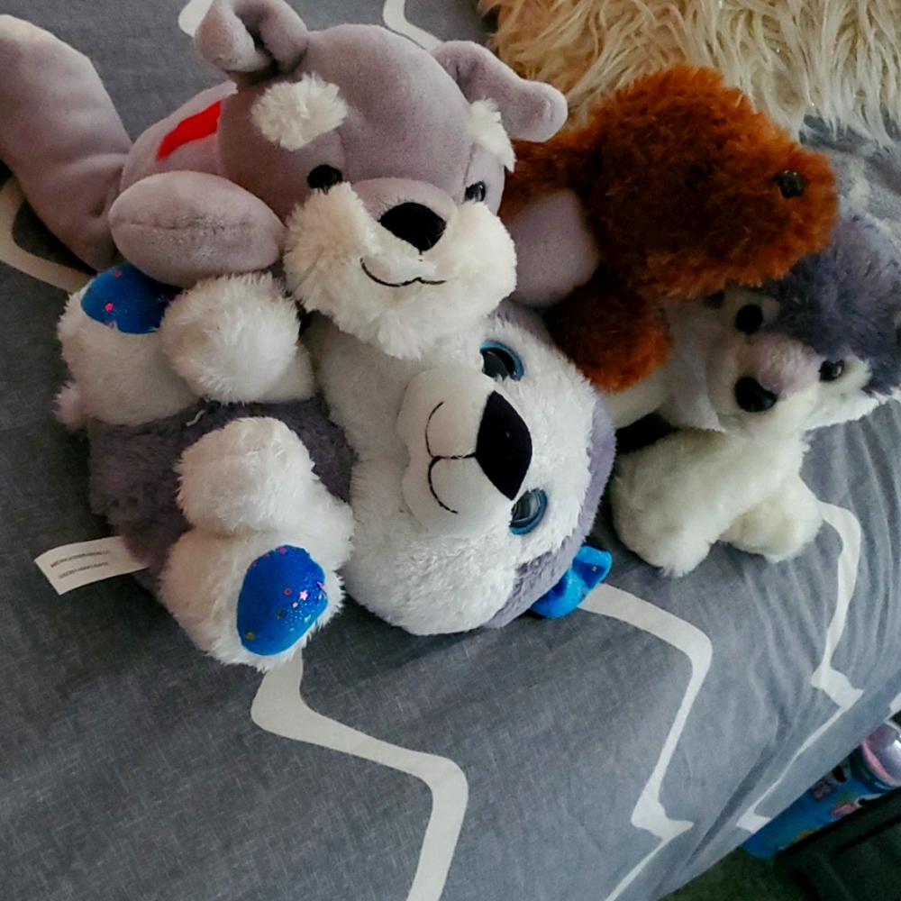 Stuffed animal set